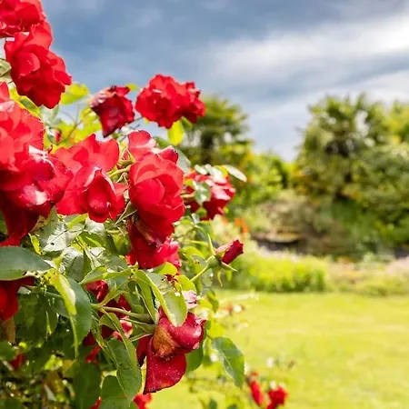 L'ecrin De 5 Pers Soligny-les-Etangs