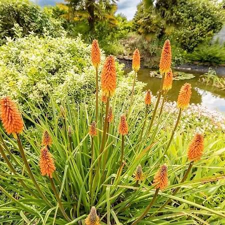 L'ecrin De 5 Pers * Soligny-les-Etangs