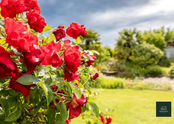 L'ecrin De 5 Pers Soligny-les-Etangs