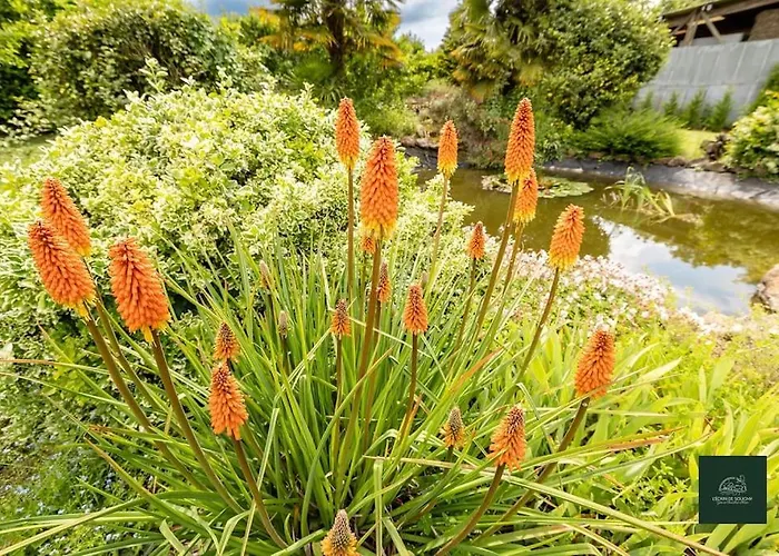 L'ecrin De 5 Pers * Soligny-les-Etangs